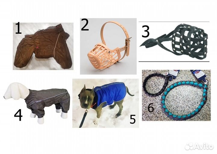 Комбинезоны Попона Намордники Ошейники-удавки