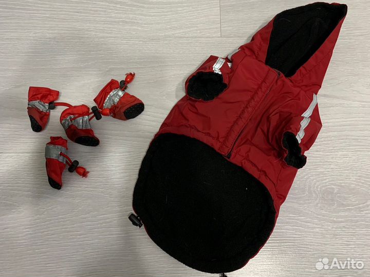 Одежда для маленьких собак