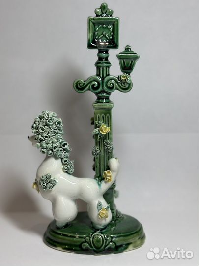 Пудель Дон Жуан