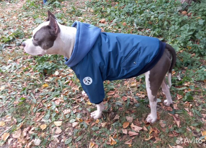 Зимний комбинезон для собак крупных пород
