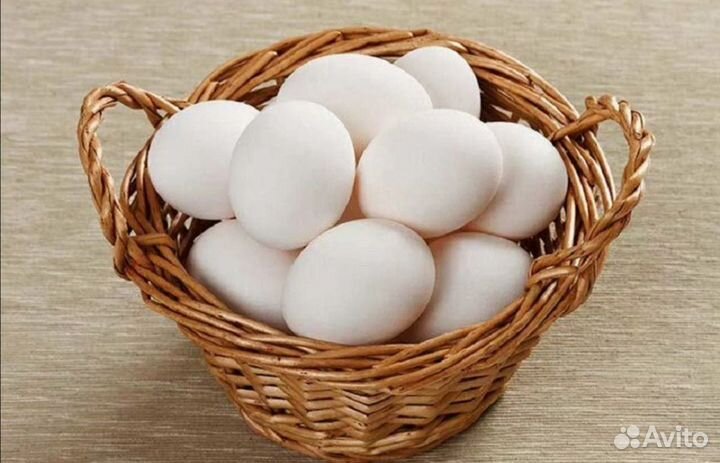 Яйца куриные домашние, с бесплатной доставкой