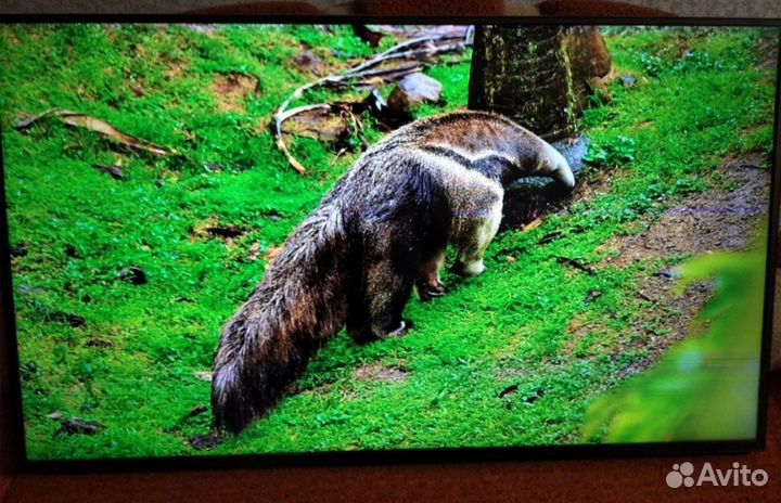 Телевизор JVC Android