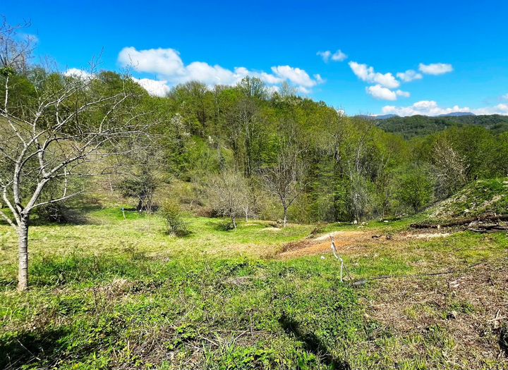 Участок 6,2 сот. (ИЖС)