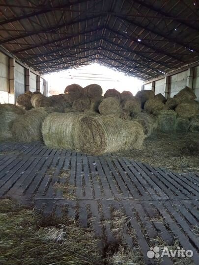 Сено в рулонах