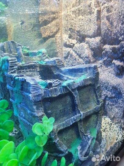 Аквариум juwel 180