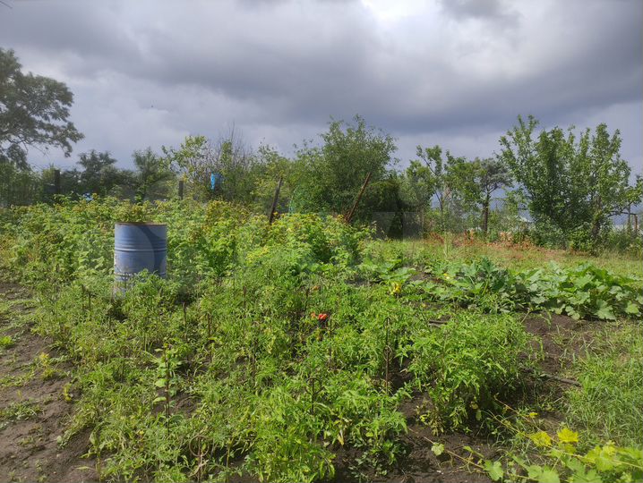 Дача 13 м² на участке 5 сот.