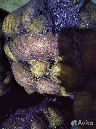 Картофель на еду