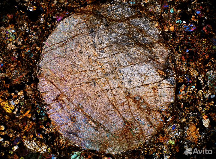 Прозрачно-полированный шлиф. Метеорит Calama 180