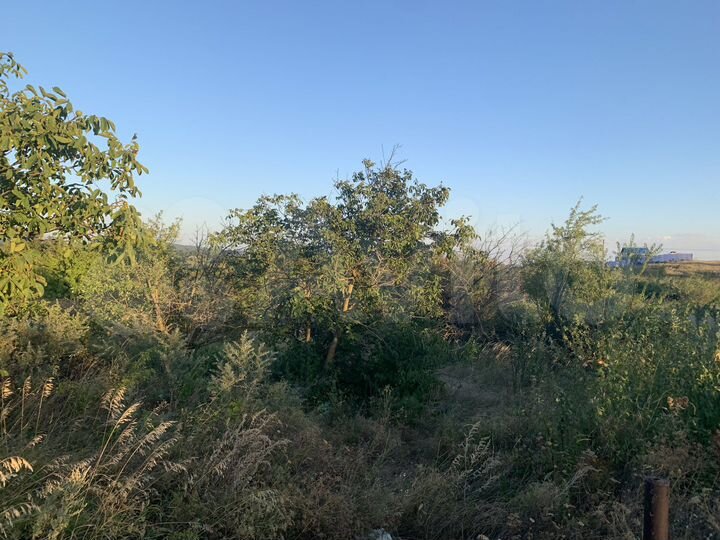 Участок 9,6 сот. (СНТ, ДНП)