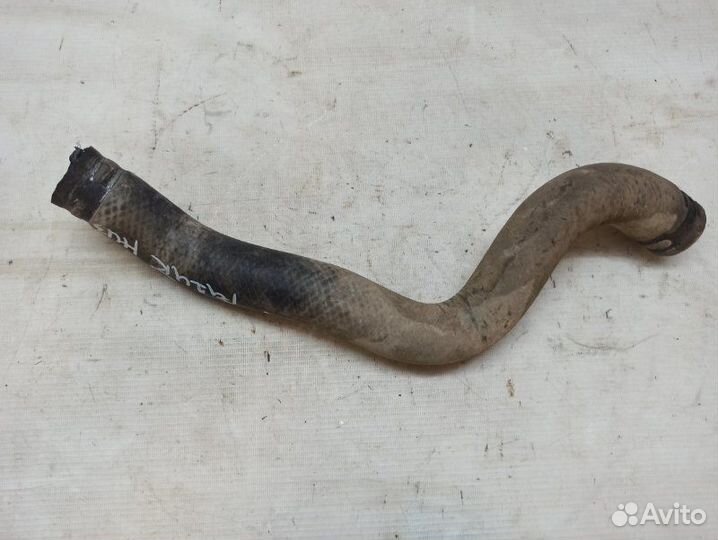 Патрубок радиатора нижний Kia Quoris KH G6DJ 2014