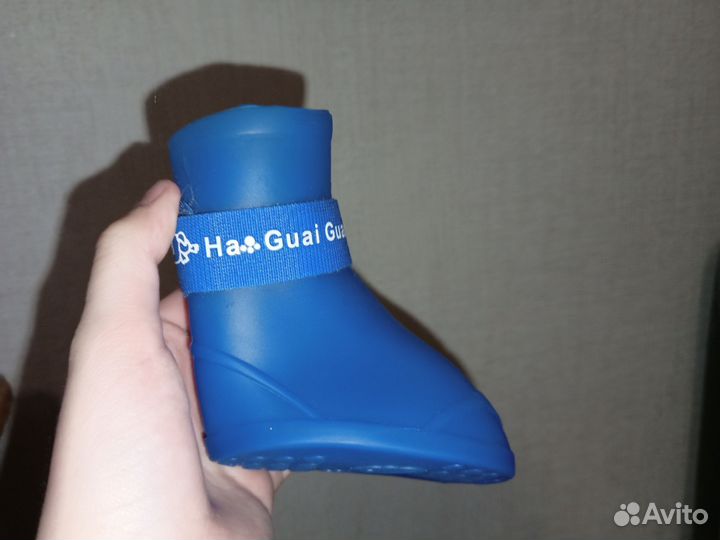 Обувь для крупных собак