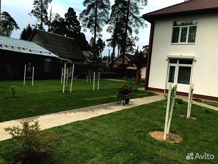 Рулонный газон 