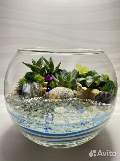 Флорариум из суккулентов