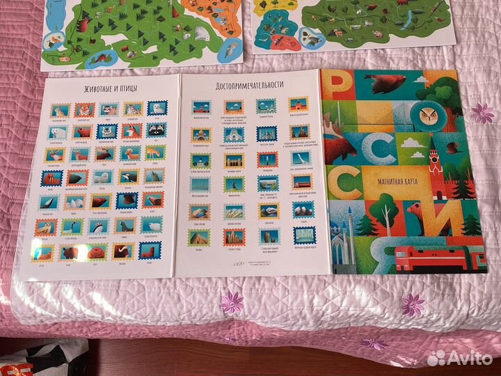 Карта России магнитная