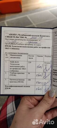 Услуги кинолога (специалист по поведению собак)