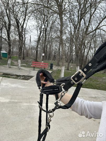 Недоуздок для лошади