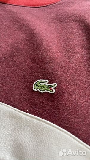 Свитшот lacoste