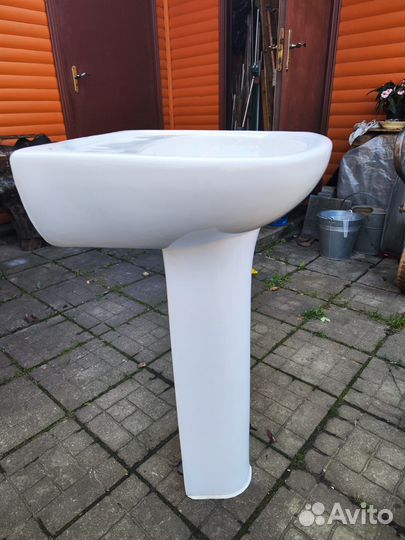 Раковина тюльпан