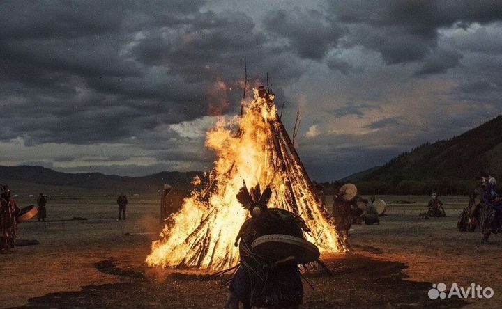 Чай пуэр « Космос шаманов » шмн10873