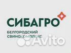 Инженер кипиа