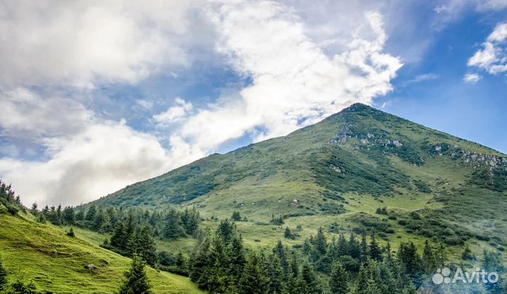 Тур в Беларусь 2 нч. завтрак