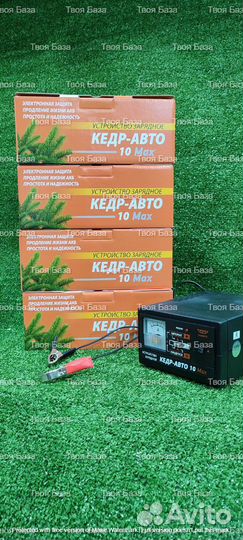 Зарядное устройство аккумулятора кедр мах