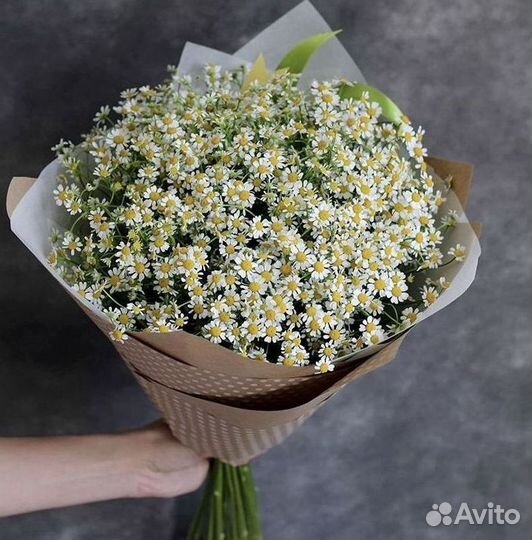 Ромашки Букет из ромашек доставка