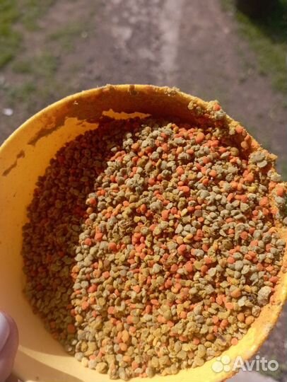 Пыльца пчелиная майская