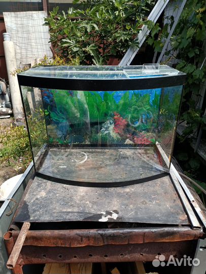 Украшения для аквариума