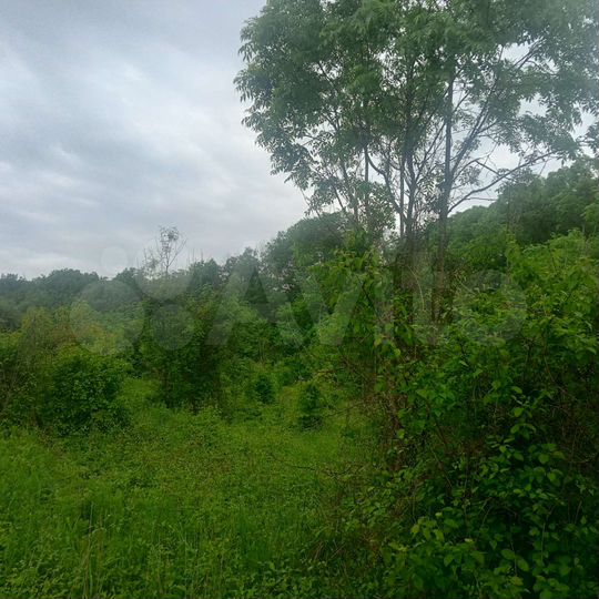 Участок 27 сот. (СНТ, ДНП)