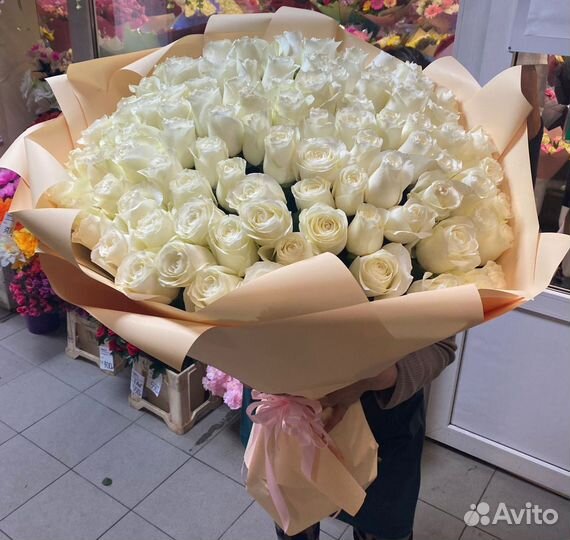 Роза свежая 101 букет цветы 51 25