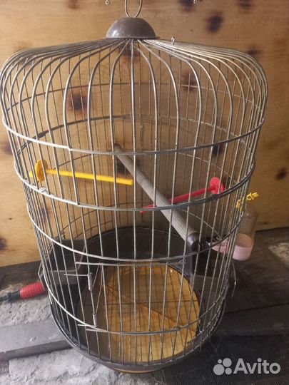 Клетка для крупного попугая