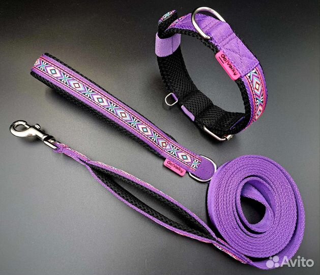 Амуниция для собак (шлейка, поводок, ошейник)