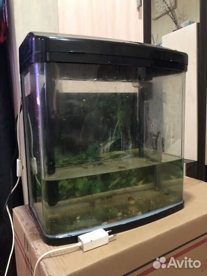 Продаю аквариум 35л