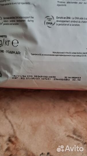 Корм для котят