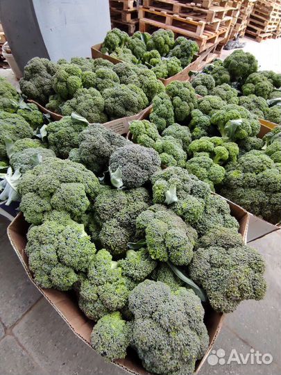 Брокколи