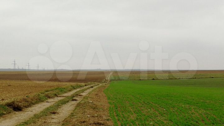 Участок 21 га (СНТ, ДНП)