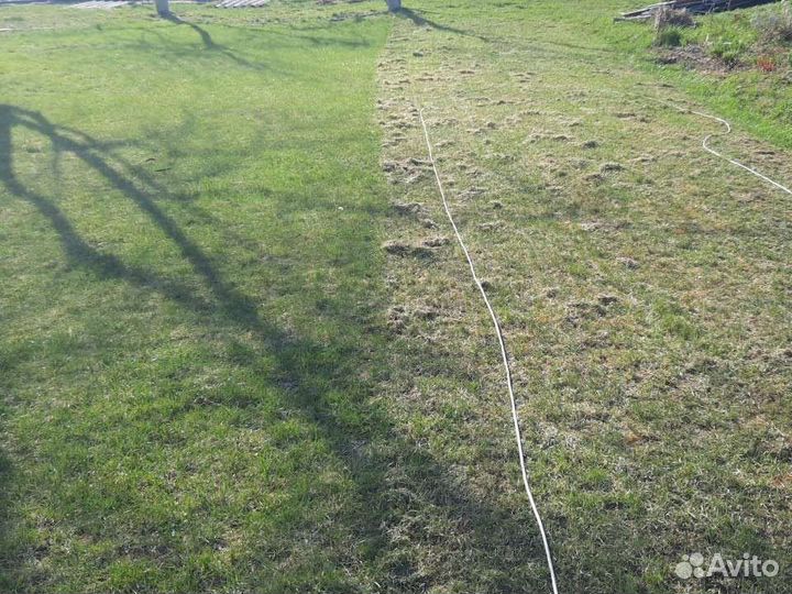 Аренда аэратор скарификатор вертикуттер