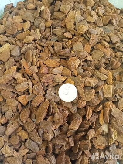 Кора сосны Пинии для орхидей (Португалия)