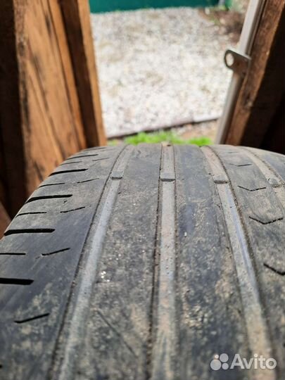 Continental ContiPremiumContact 5 215/60 R16 95H