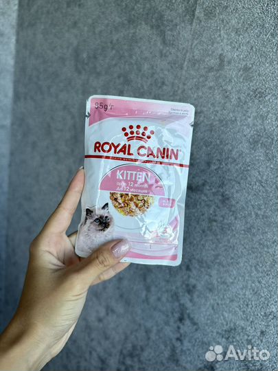 Корм для кошек royal canin