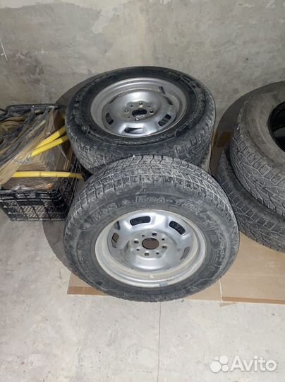 Accelera Epsilon 12.4/12.5 R13