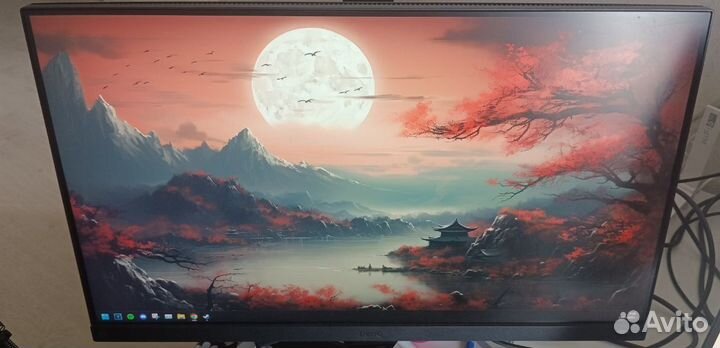 Монитор BenQ Mobiuz EX2510S 165hz ips