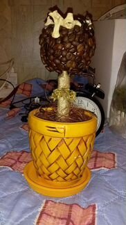 Топиарий, дерево из зерен кофе