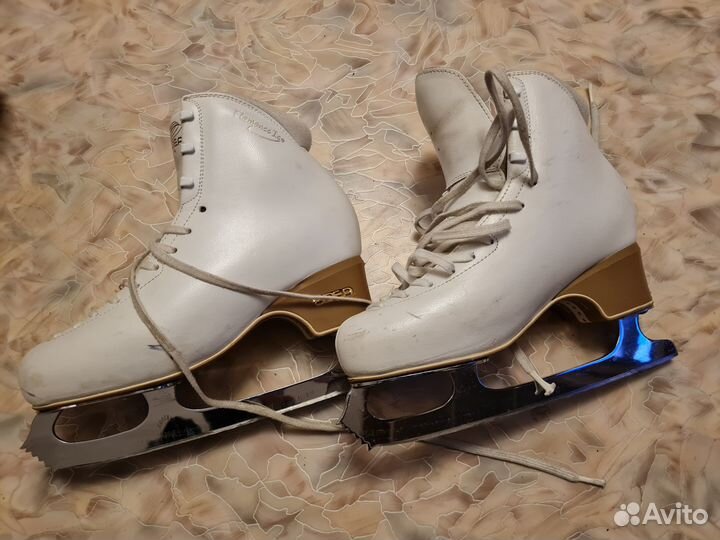 Коньки фигурные Edea Flamenco на Wilson C. Dance