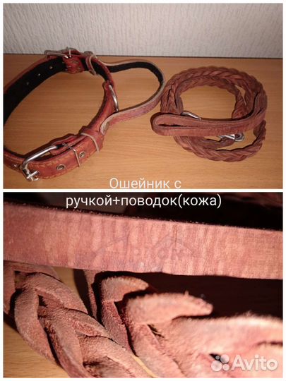 Амуниция для собак