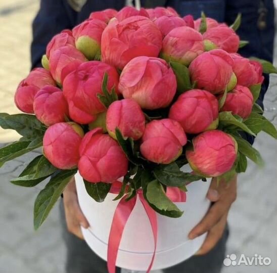 Пионы цветы букеты в коробке