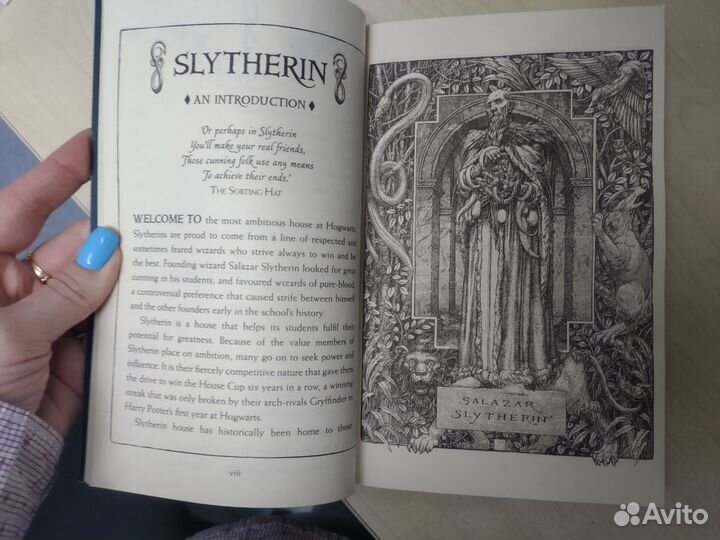 Harry Potter and the philosopher s stone