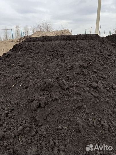 Земля чернозем
