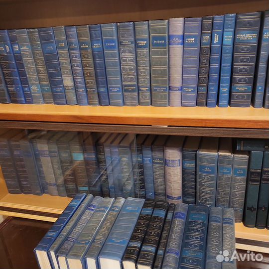 Библиотека поэта